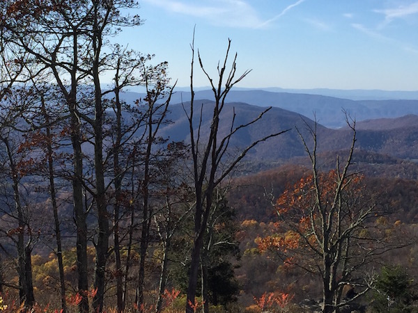 Only and hour from Harrisonburg, Shenandoah National Park is beautiful in every season.