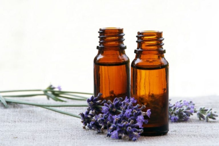 Essential oil bottles and lavender flowers