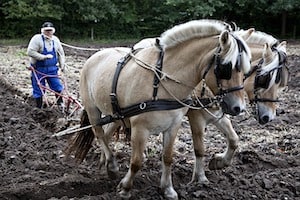 Farmers and Salespeople are a lot alike.