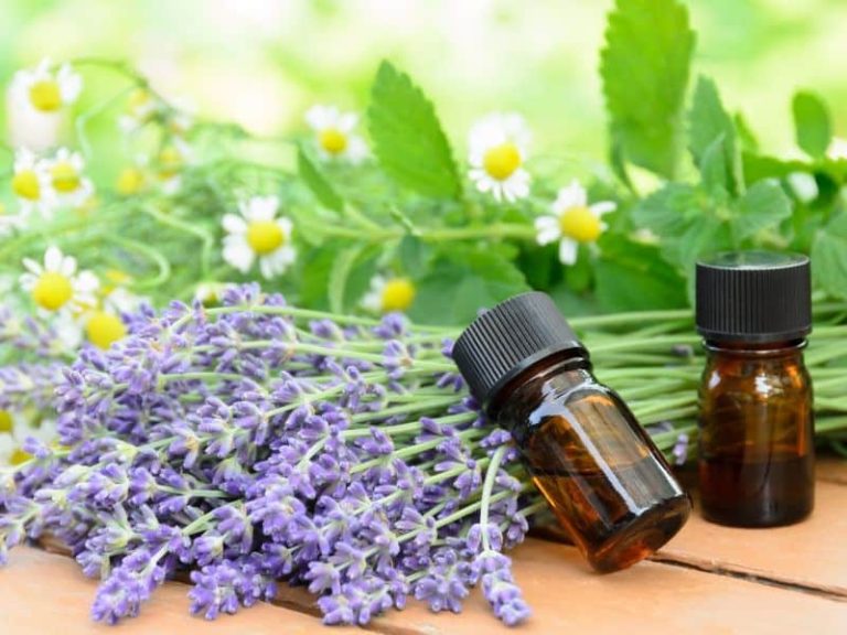 A bunch of lavender flowers and some glass bottles