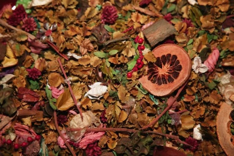 Potpourri