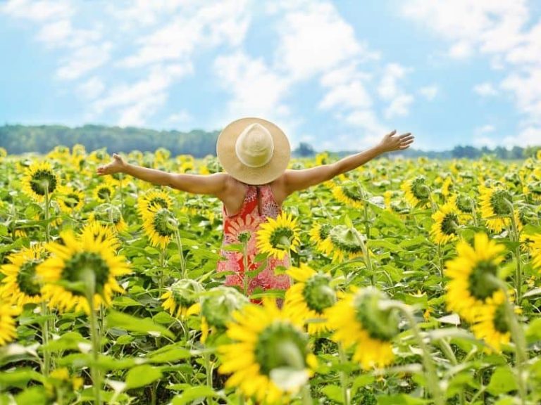 Happy woman in sunflower field