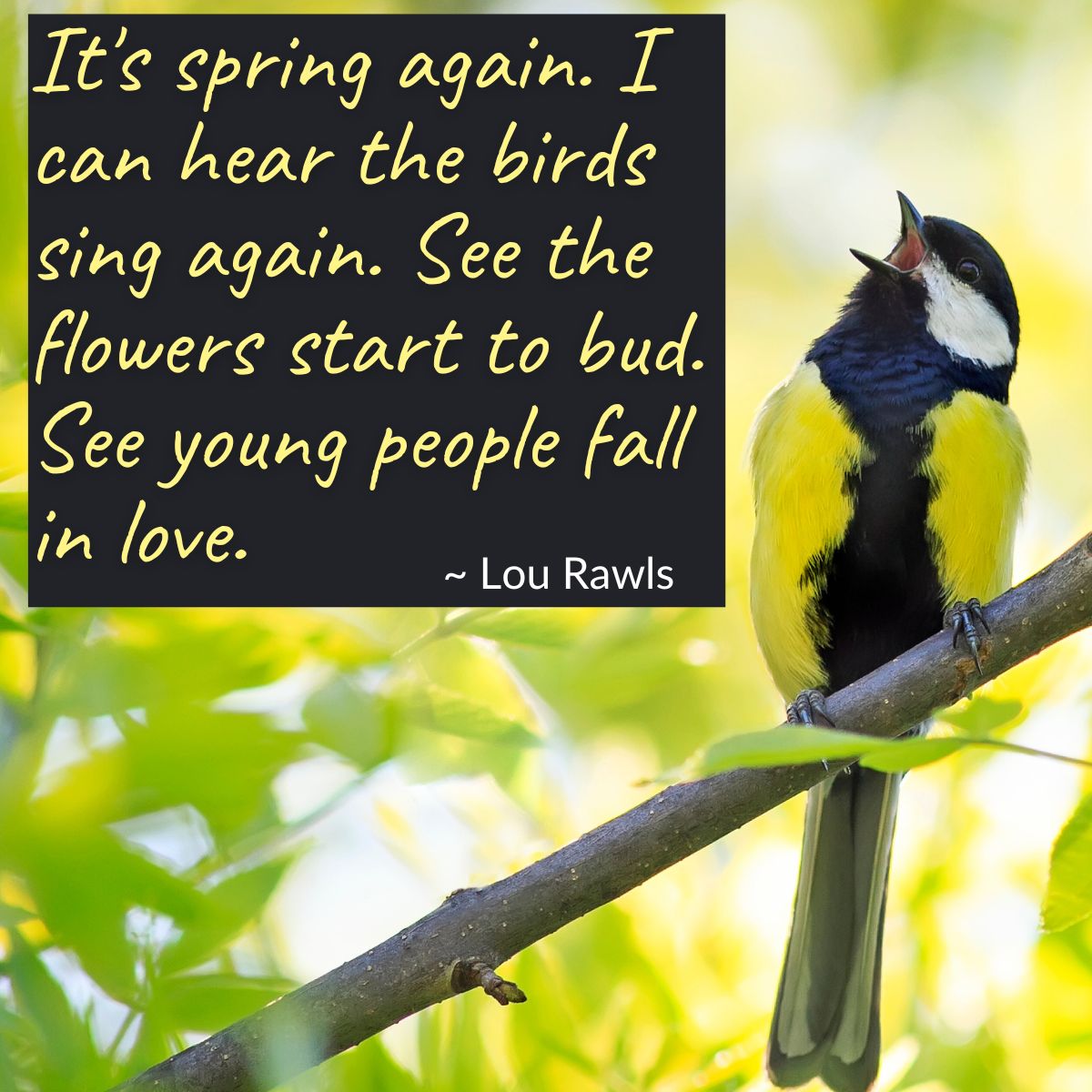 It's spring again. I can hear the birds sing again. See the flowers start to bud. See young people fall in love. ~ Lou Rawls  