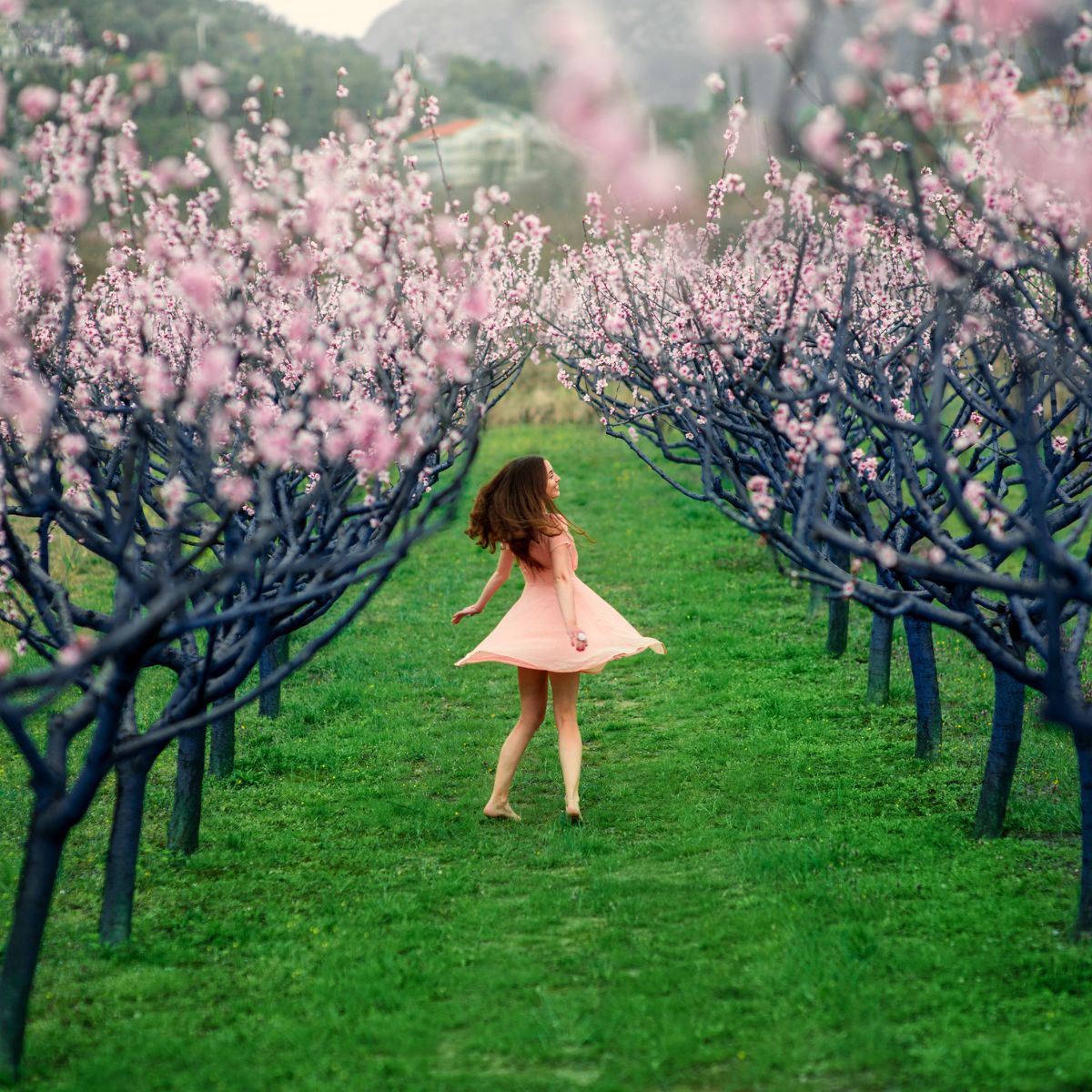young girl enjoying springtime amongst pink blooming spring trees