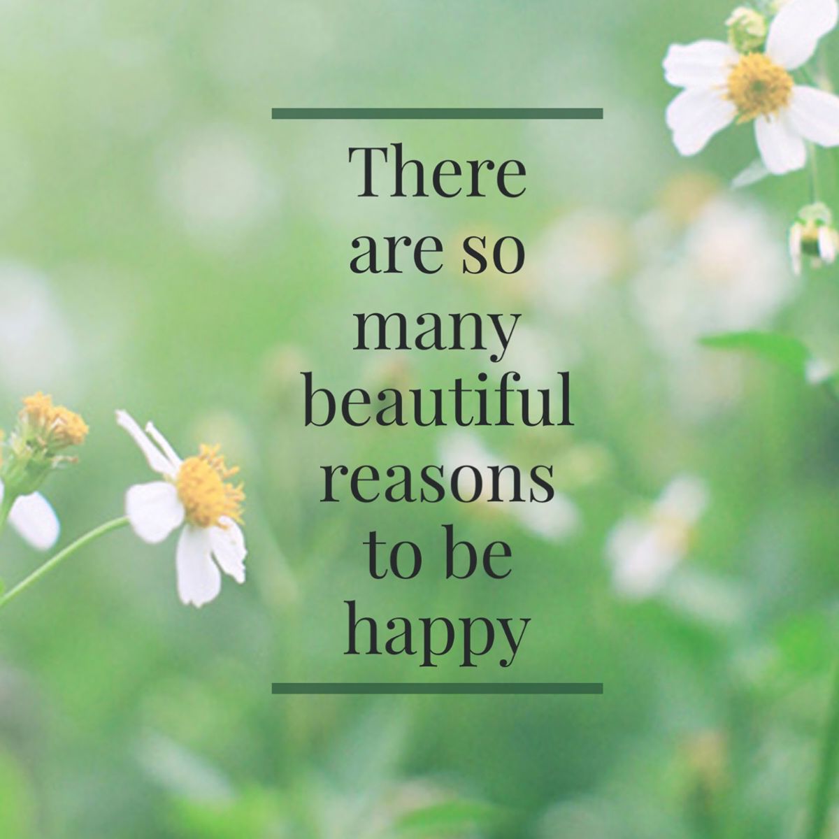 Quote: there are so many beautiful reasons to be happy!