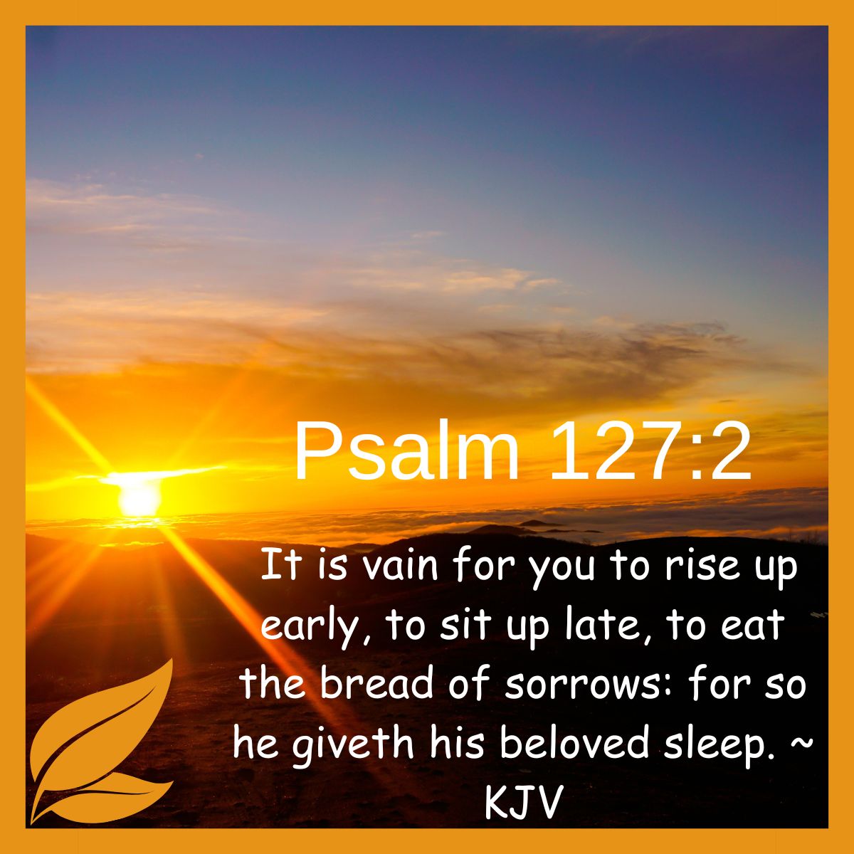 It is vain for you to rise up early, to sit up late, to eat the bread of sorrows: for so he giveth his beloved sleep. Psalm 127.2