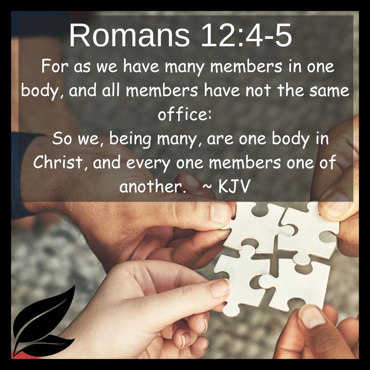 For as we have many members in one body, and all members have not the same office: so we, being many, are one body in Christ, and every one members one of another. Romans 12: 4-5