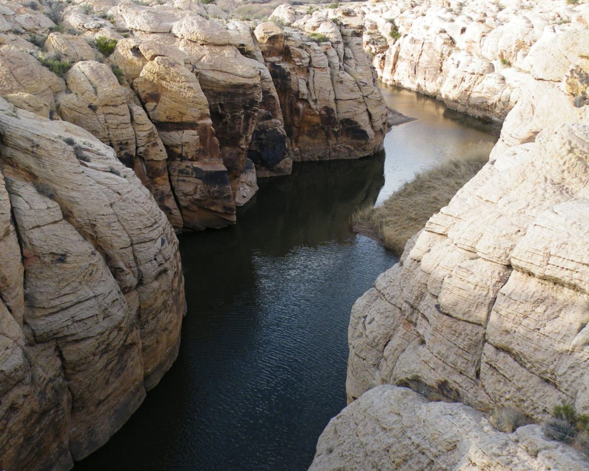 Chevelon Creek Near Winslow Arizona