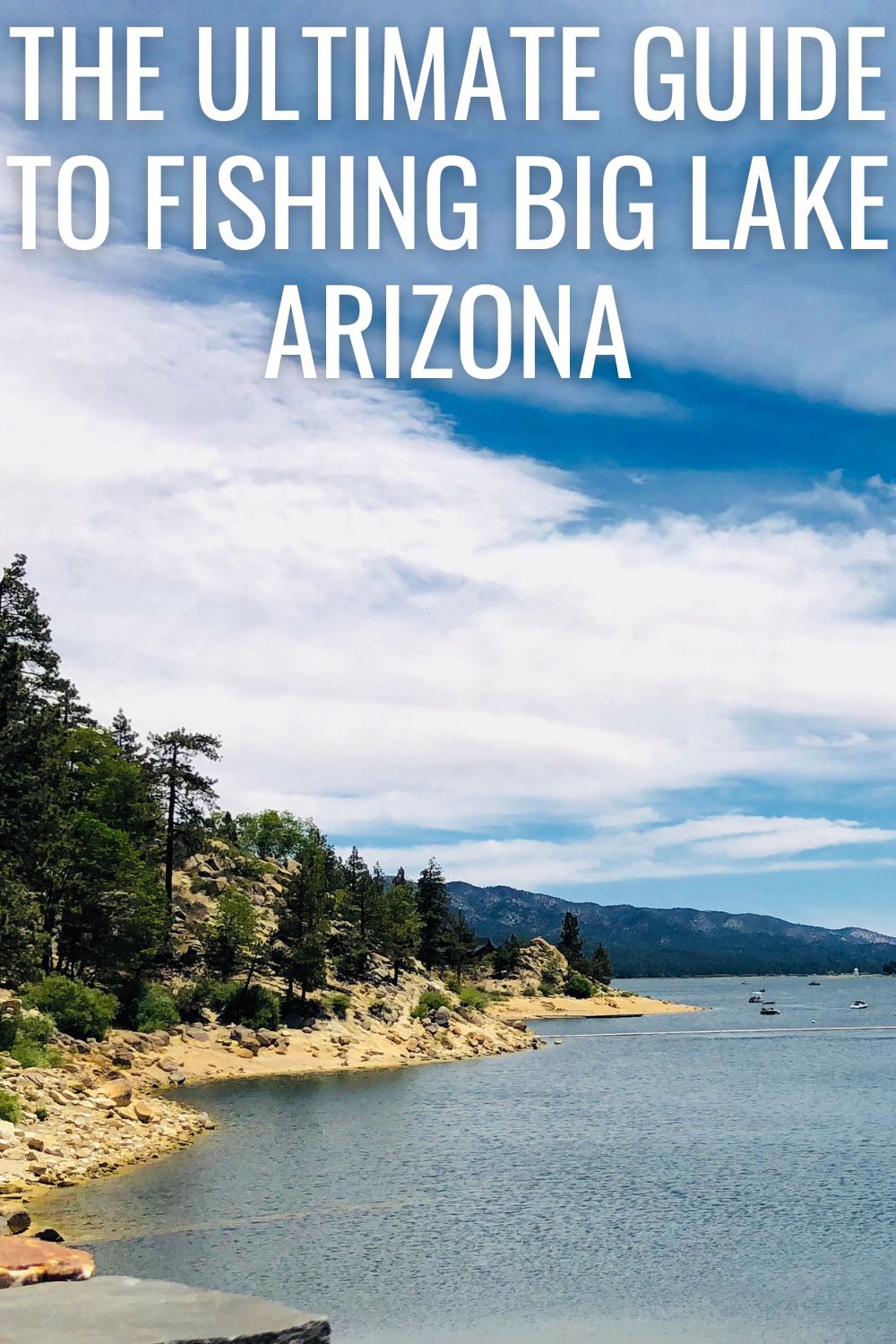 The Ultimate Guide To Fishing Big Lake Arizona