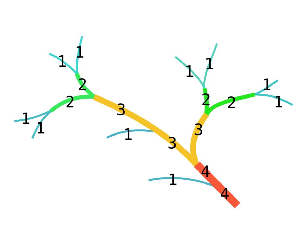 The Strahler Stream Order Basis