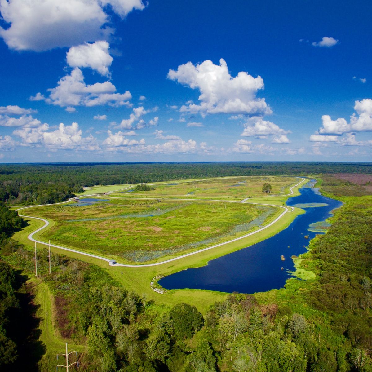 Sweetwater Wetlands Park.