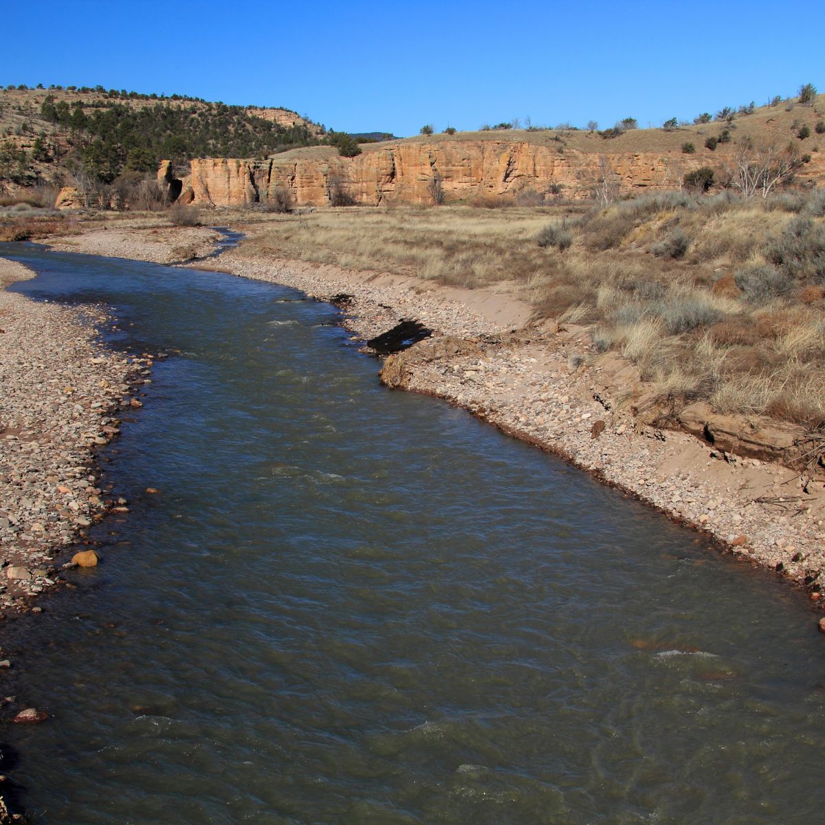 Gila River, Upper Basin Flows Through Wild Country!