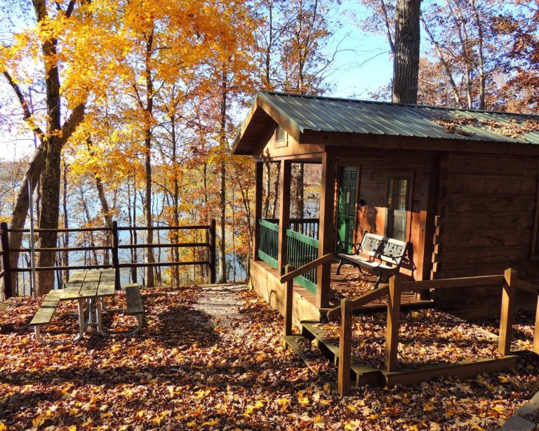 cute cabin tucked under some tall trees by the lake.