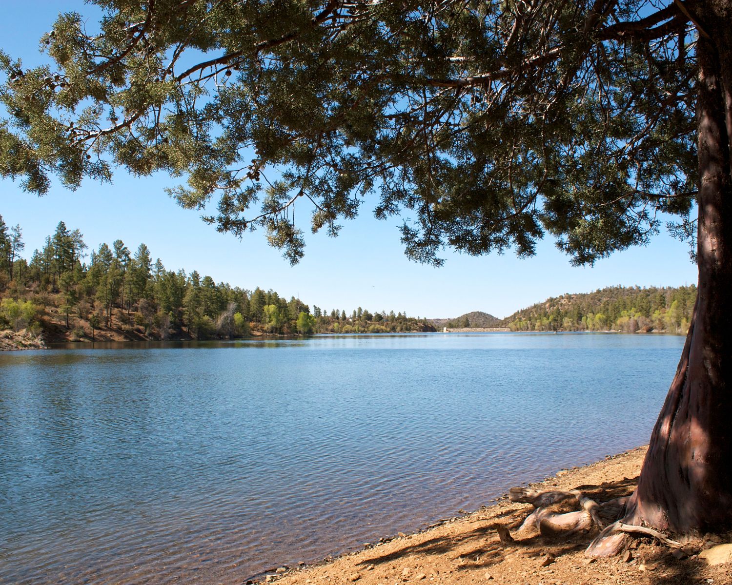 Lynx Lake.