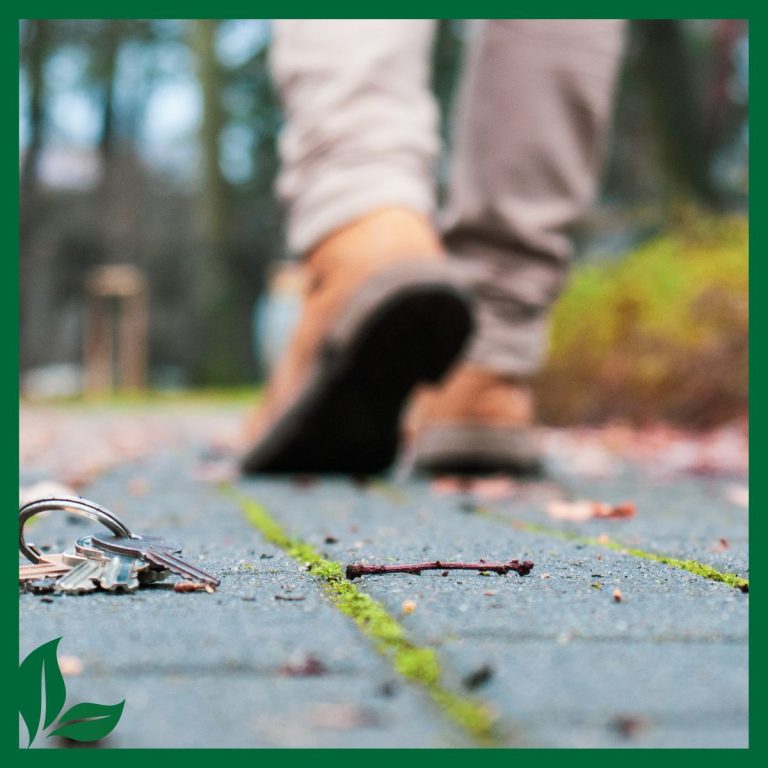 The back of a man's feet walking away, towards the woods.