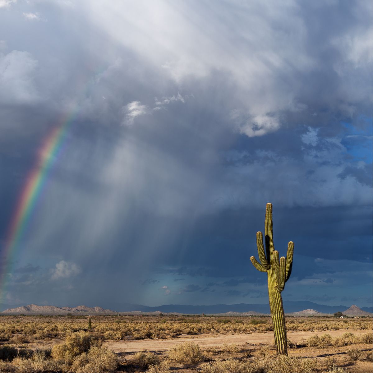 Monsoon storm.