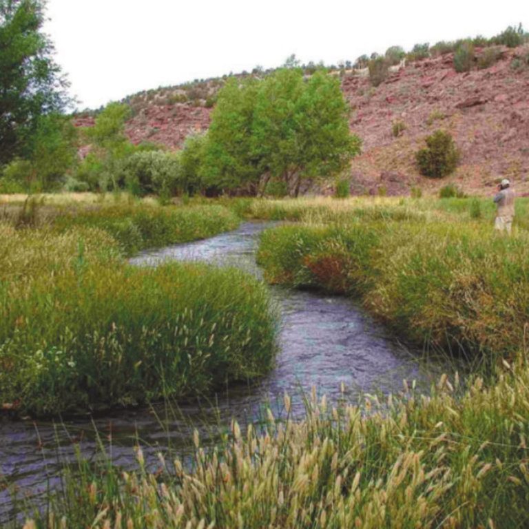 Verde river in Arizona.