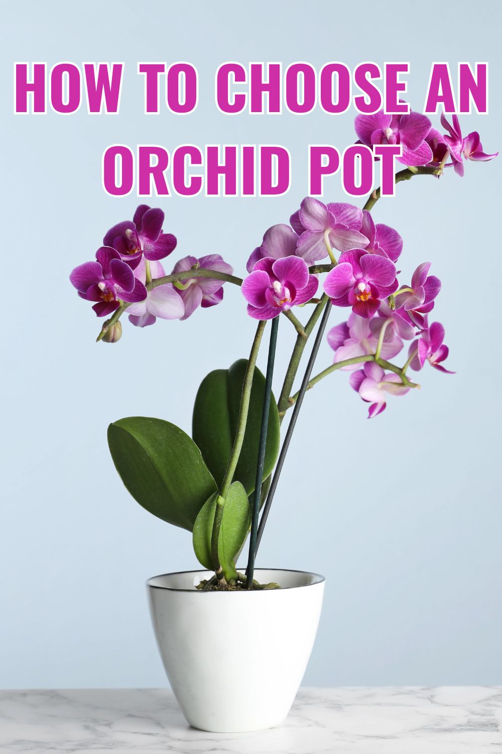 How to choose an orchid pot.